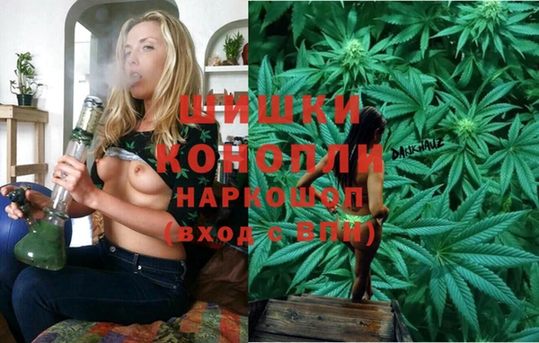 индика Абдулино