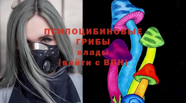 индика Абдулино
