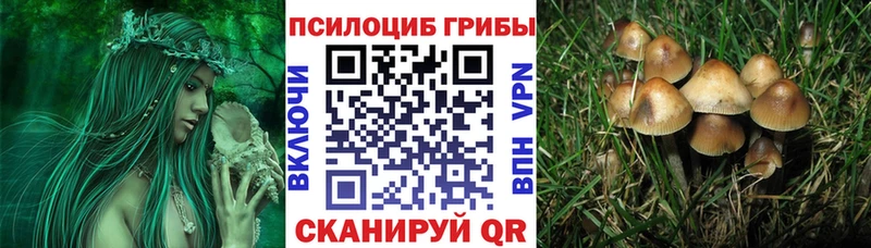Галлюциногенные грибы мухоморы Норильск
