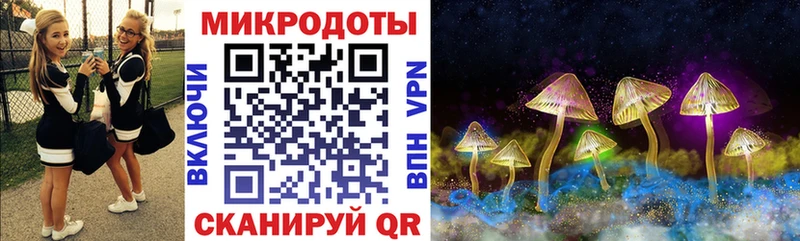 Псилоцибиновые грибы Magic Shrooms  даркнет сайт  Норильск 