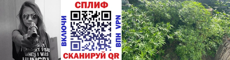 KRAKEN   Норильск  Марихуана THC 21% 